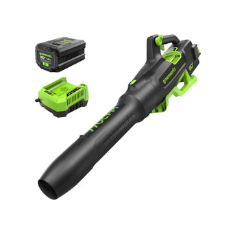 compare product Greenworks 80V 770 CFM 180 MPH Cordless Leaf Blower with Battery & Charger