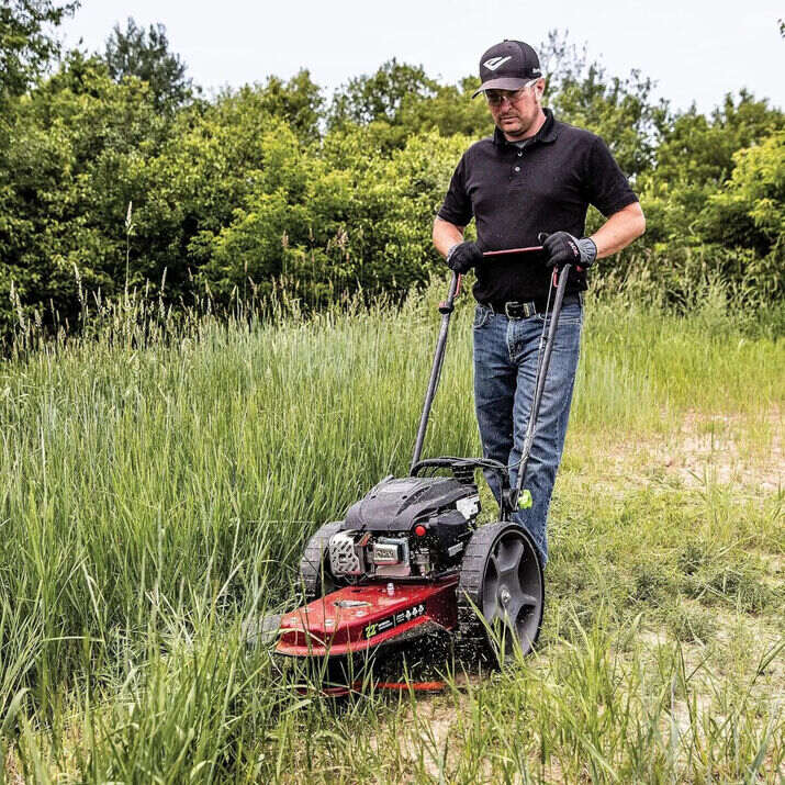 Earthquake 40314 Walk-Behind String Trimmer Mower 160cc Viper 4-Cycle 22" Cutting Width