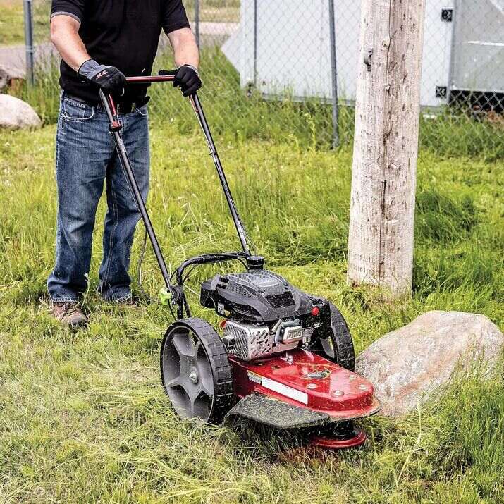 Earthquake 40314 Walk-Behind String Trimmer Mower 160cc Viper 4-Cycle 22" Cutting Width